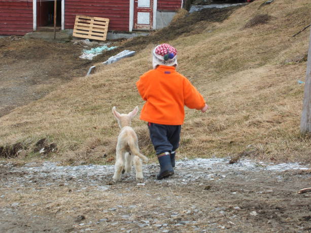 Inn på tunet.jpg