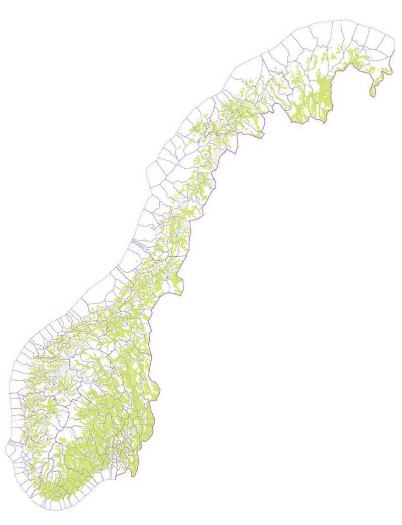 Norgeskart.jpg