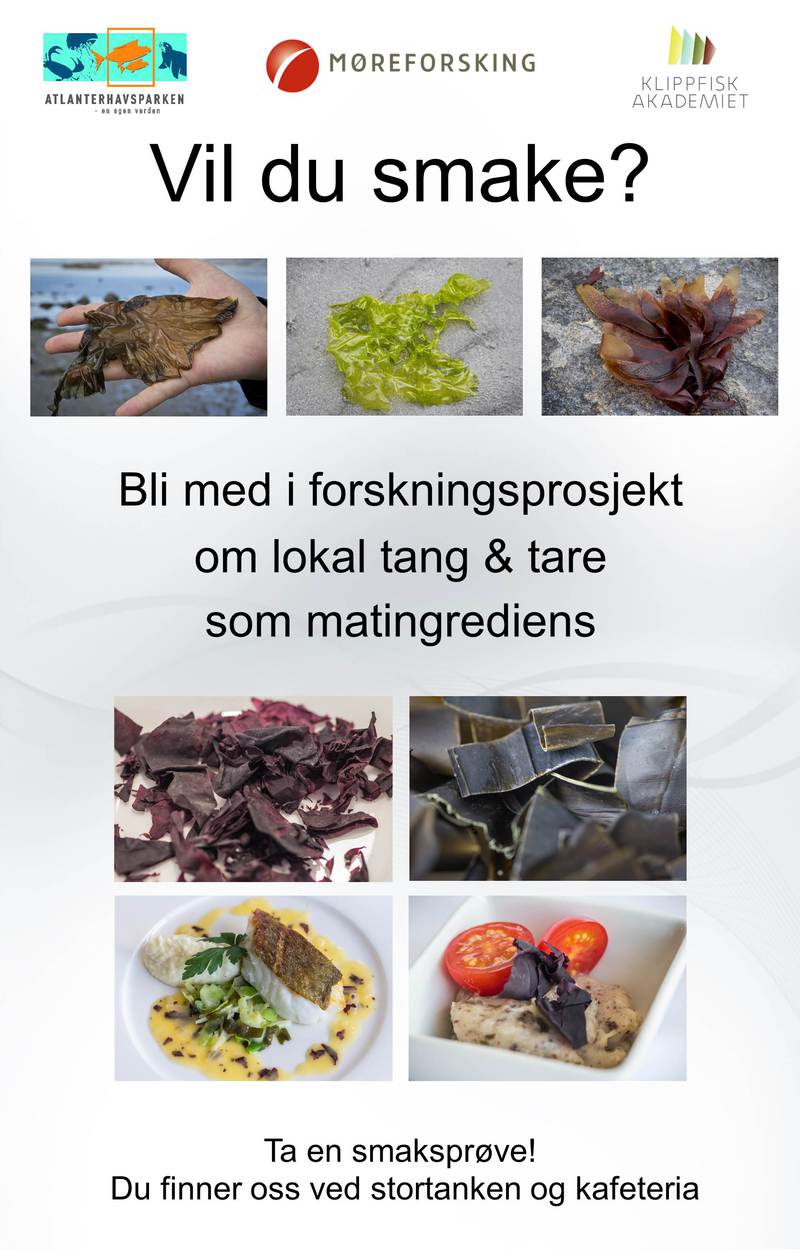 Poster AlsmakJPEG.jpg