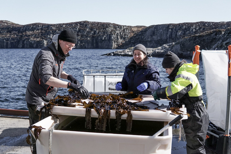 Arne (HI), Rebeca (HI), Alba (AS)-credit, Cecilie Bay Wirenfeldt.jpg